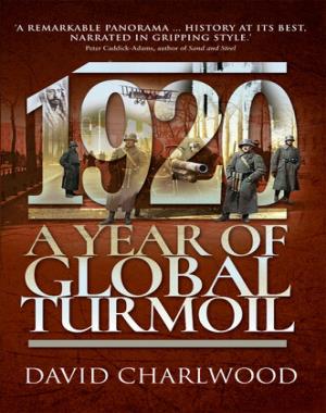 1920 - A Year of Global Turmoil