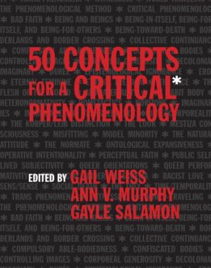 50 concepts for a critical phenomenology