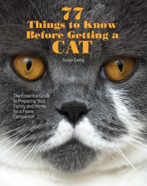 77 Things to Know Before Getting a Cat - The Essential Guide to Preparing Your Family and Home for a Feline Companion