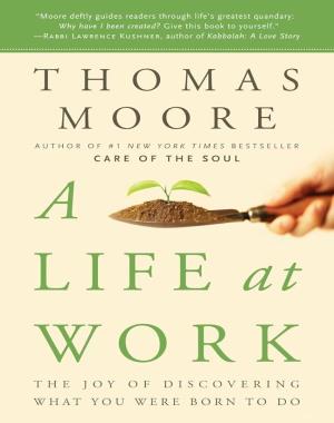 A Life at Work - The Joy of Discovering What You Were Born to Do