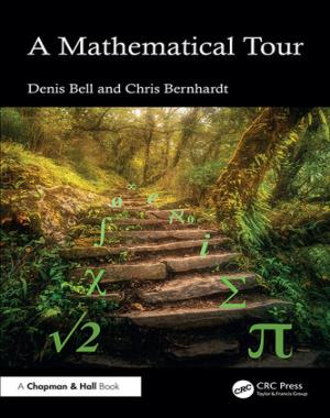 A Mathematical Tour By Denis Bell