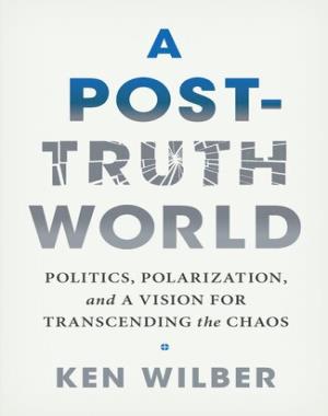 A Post-Truth World - Politics, Polarization, and a Vision for Transcending the Chaos