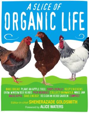 A Slice of Organic Life By DK