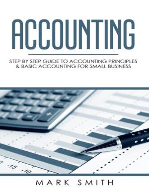 Accounting - Step by Step Guide to Accounting Principles & Basic Accounting for Small business