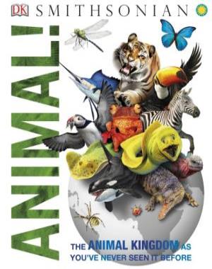 Animal! (DK Knowledge Encyclopedias) By DK