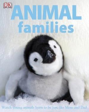 Animal Families - Watch Young Animals Learn to Be Grown-ups By DK