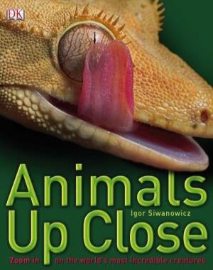 Animals Up Close - Zoom in on the World's Most Incredible Creatures By DK